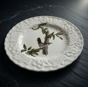 Alfred Meakin Audubon Birds of America Bewick's Wren Plate #18 Thryomanes Bewick